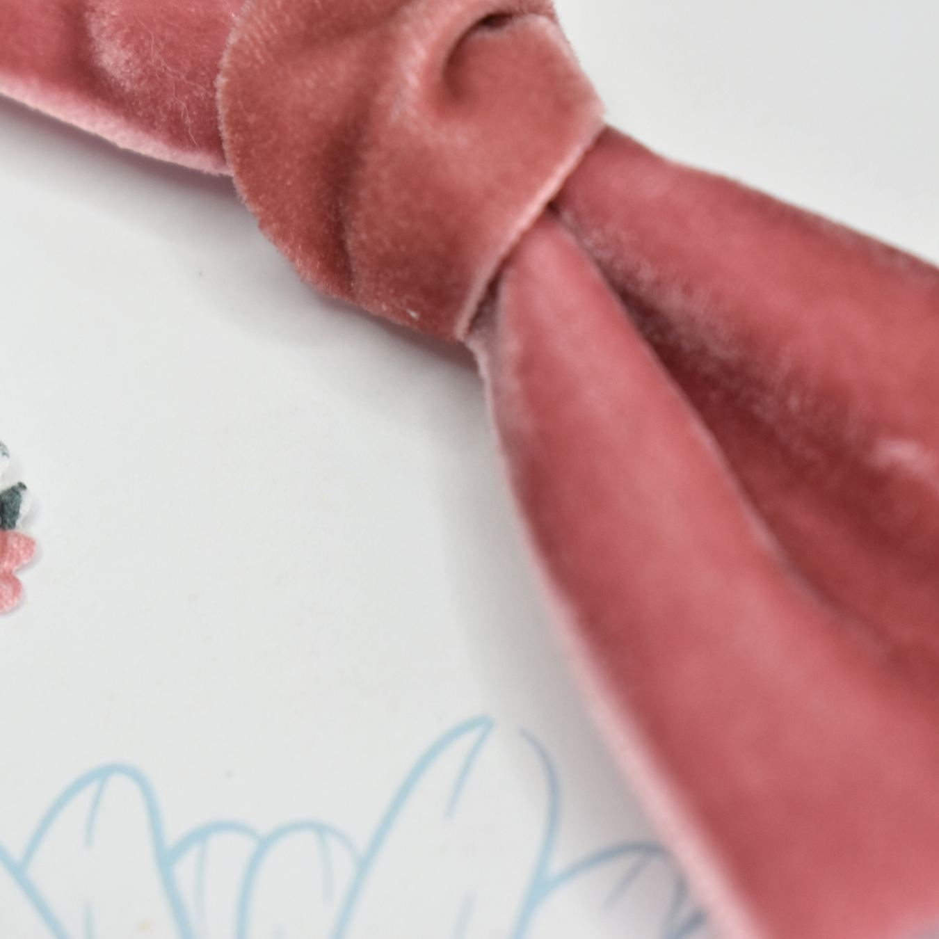 Velvet Rose Headband & Clips Set